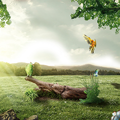 邛崃ISO14001环境管理体系认证